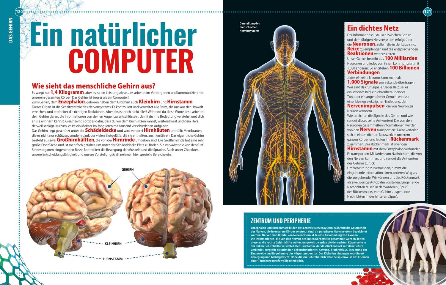 Bild: 9788863124866 | Enzyklopädie des menschlichen Körpers: Wunderwerk der Natur | Buch