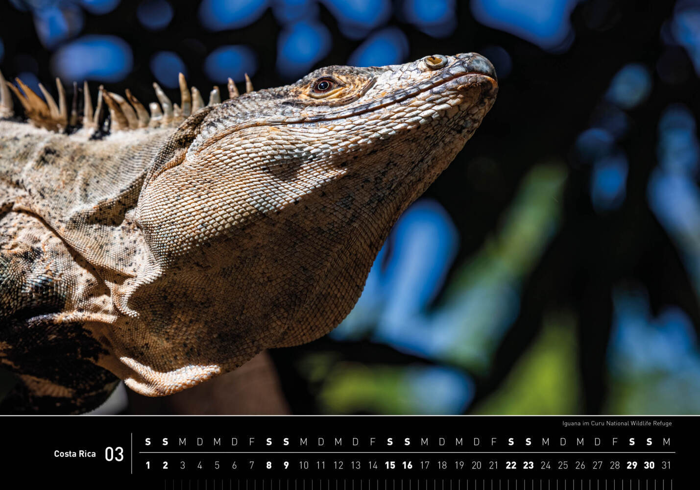 Bild: 9783968555362 | 360° Costa Rica Premiumkalender 2025 | Holger Leue | Kalender | 13 S.