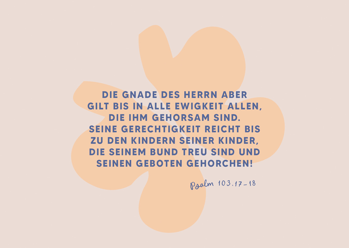 Bild: 4250330935381 | Gott denkt an alle Details | Stennie | Postkartenbuch, -satz | Karten