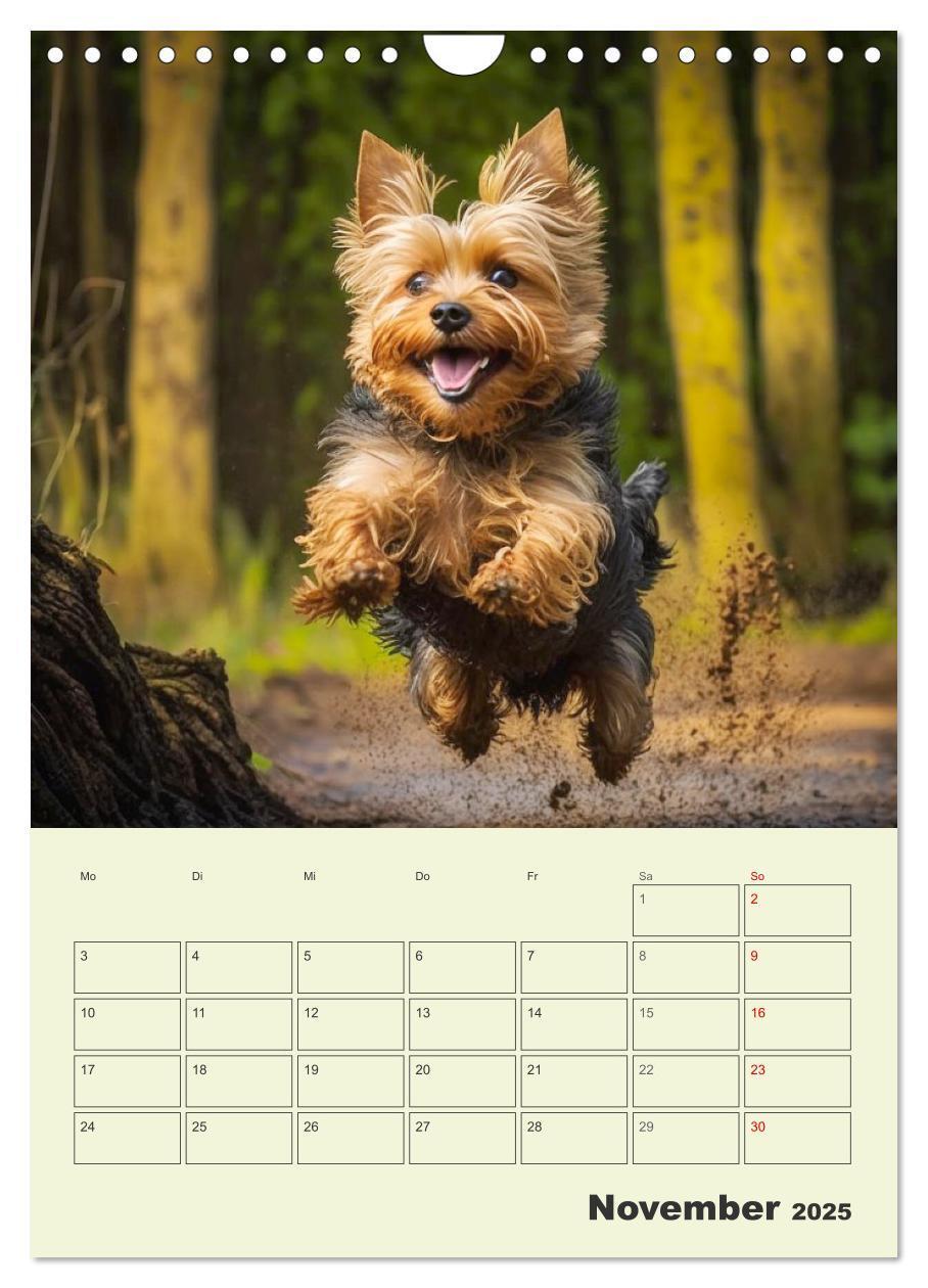 Bild: 9783435869886 | Yorkshire Terrier. Fröhliche Energiebündel in Aktion (Wandkalender...