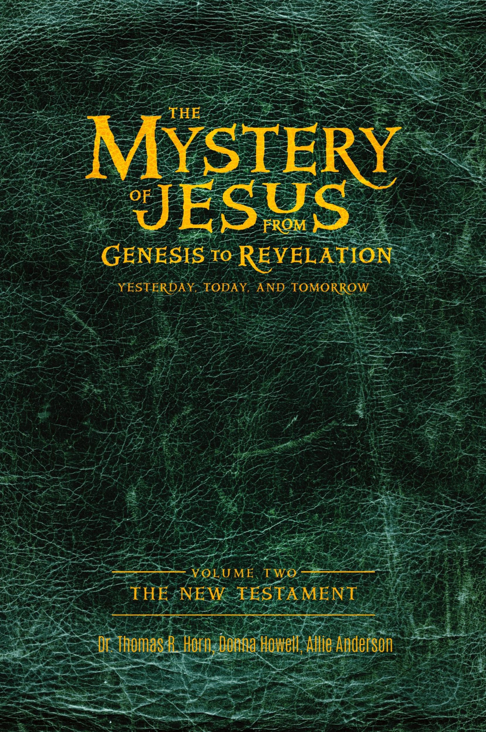 Cover: 9781948014625 | The Mystery of Jesus | Donna Howell | Taschenbuch | Paperback | 2022