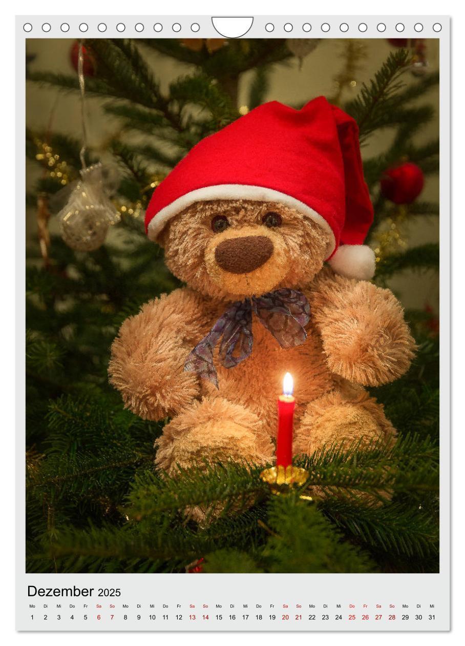 Bild: 9783435985371 | Travelling Teddy in Europa (Wandkalender 2025 DIN A4 hoch),...