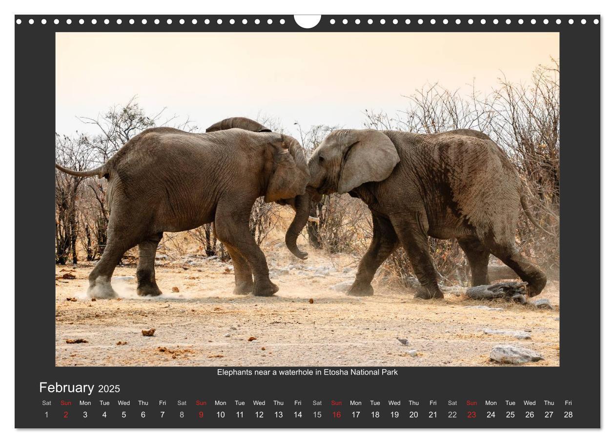 Bild: 9781325964277 | Namibia's Nature (Wall Calendar 2025 DIN A3 landscape), CALVENDO 12...