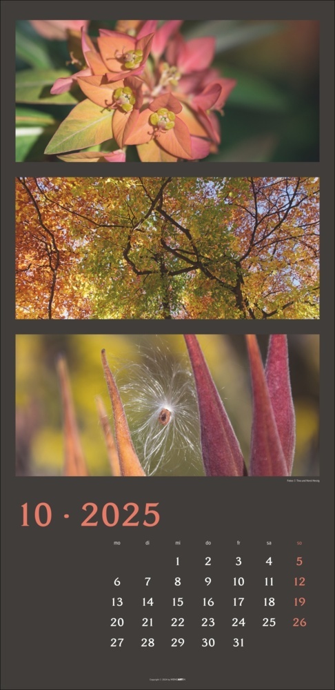 Bild: 9783839900635 | Die Farben der Natur Kalender 2025 | Horst Herzig (u. a.) | Kalender