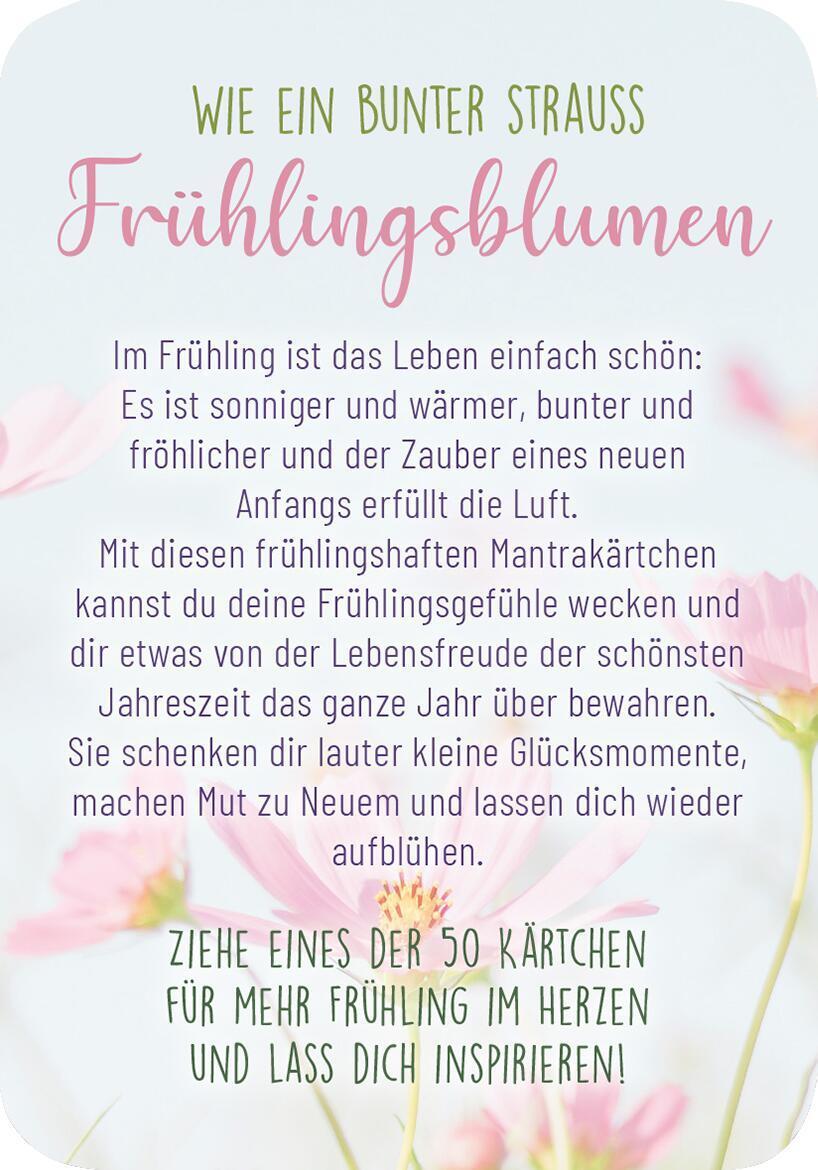 Bild: 9783845848020 | Frühlingsmantras | 50 Sonnenscheinmomente für dich | Taschenbuch