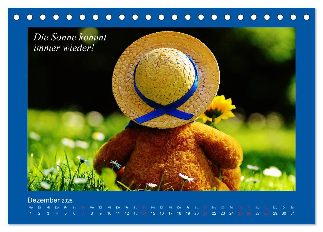 Bild: 9783435593972 | Sommer im Teddy-Land. Bär und Freunde (Tischkalender 2025 DIN A5...