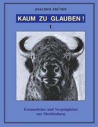 Cover: 9783831112852 | Kaum zu Glauben ! Band I | Joachim Fründt | Taschenbuch | Paperback