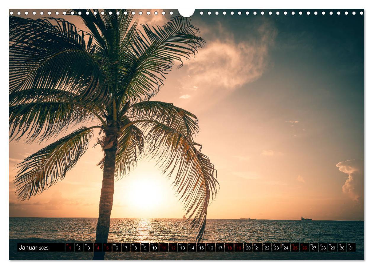 Bild: 9783435423675 | Florida. Der Sonne entgegen. (Wandkalender 2025 DIN A3 quer),...