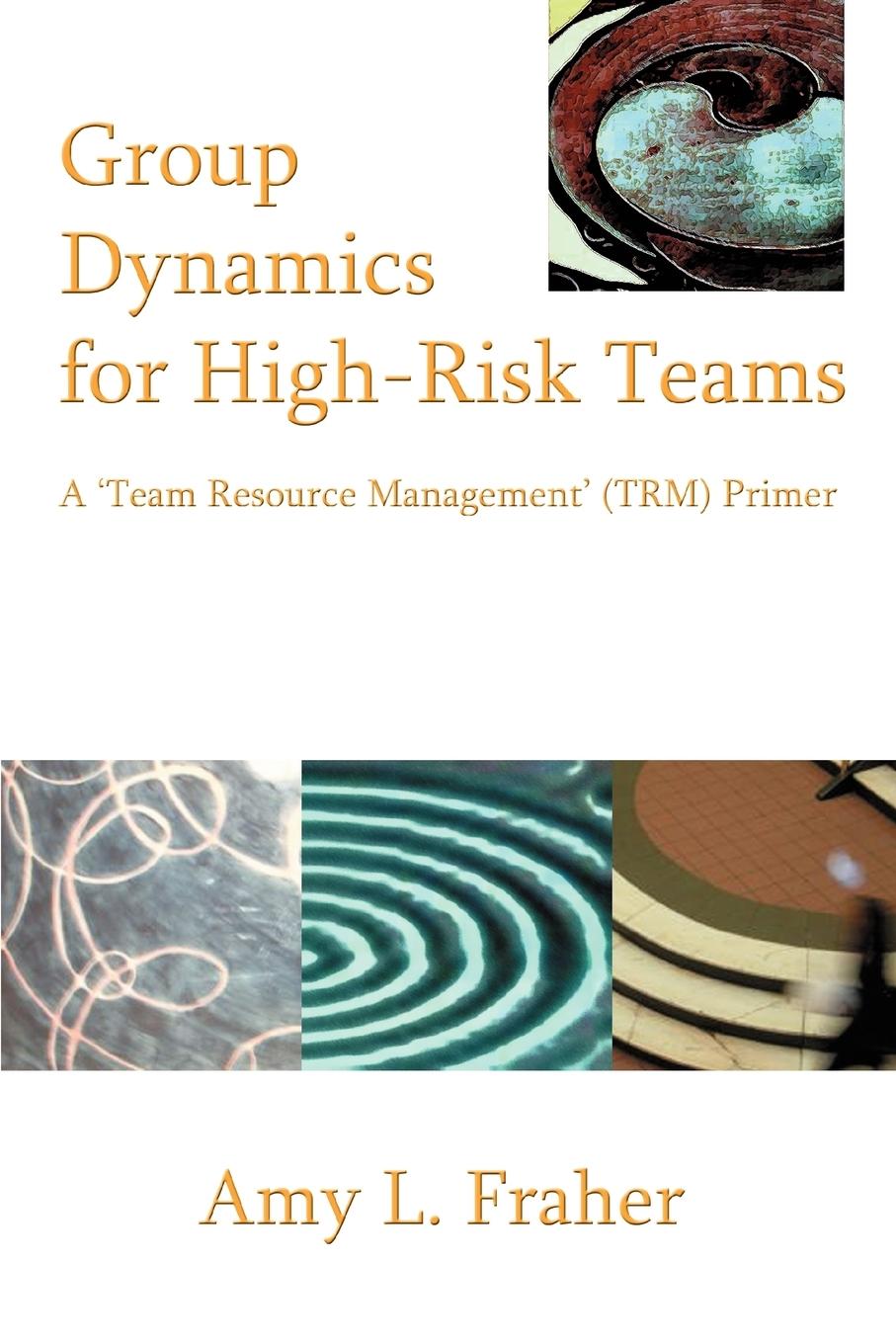 Cover: 9780595377398 | Group Dynamics for High-Risk Teams | Amy L. Fraher | Taschenbuch