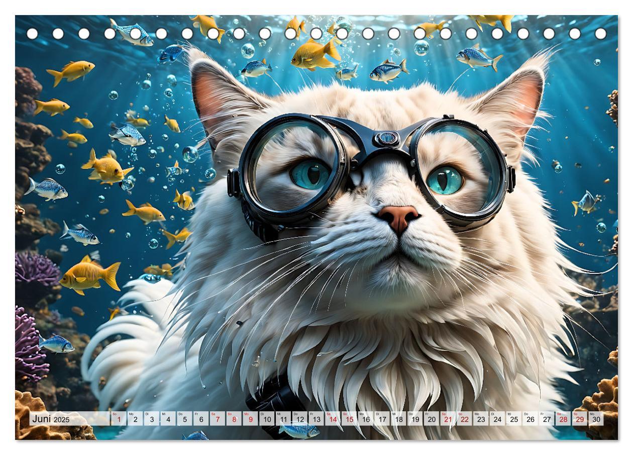 Bild: 9783383843945 | Katzen unter Wasser (Tischkalender 2025 DIN A5 quer), CALVENDO...