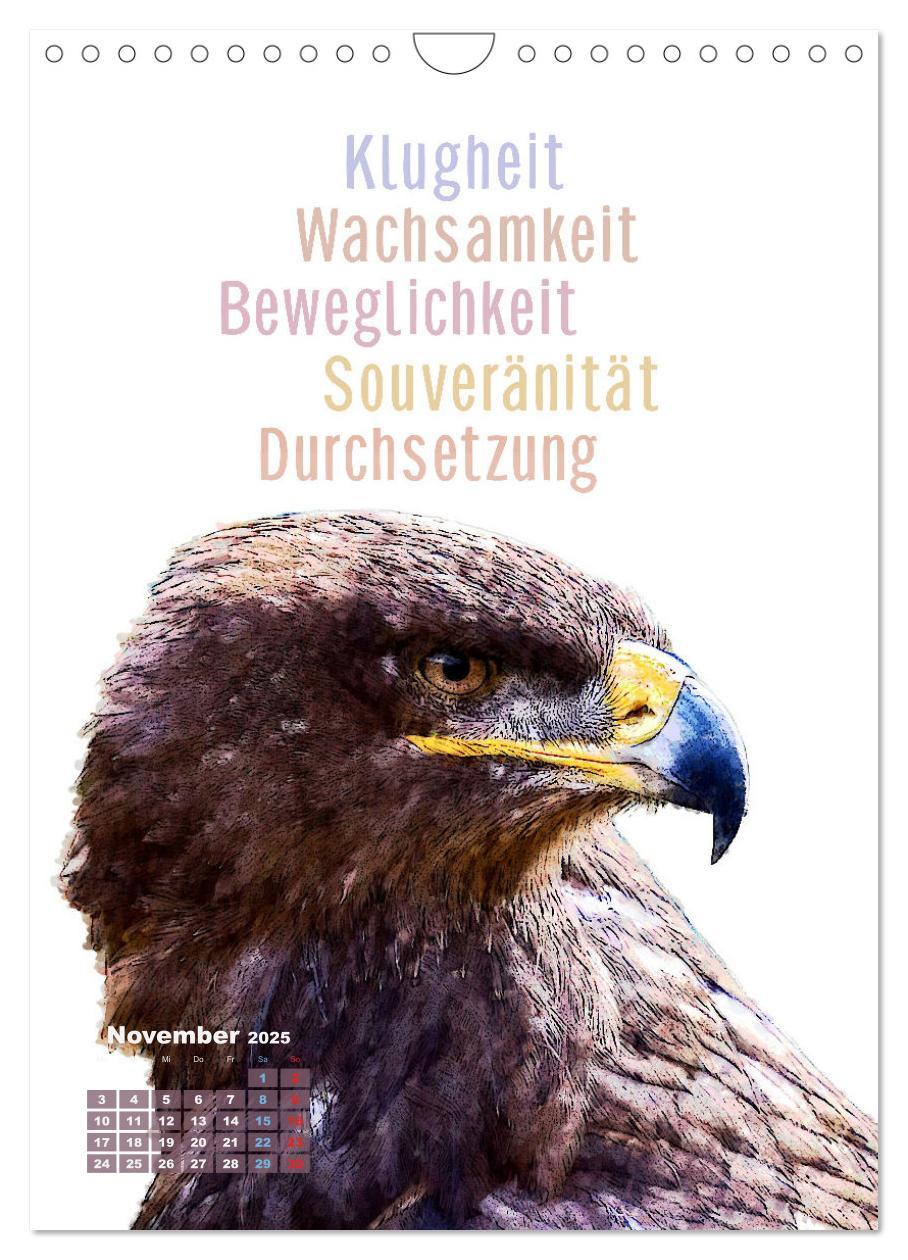 Bild: 9783457137437 | Welche spirituelle Bedeutung hat dieser Vogel? (Wandkalender 2025...