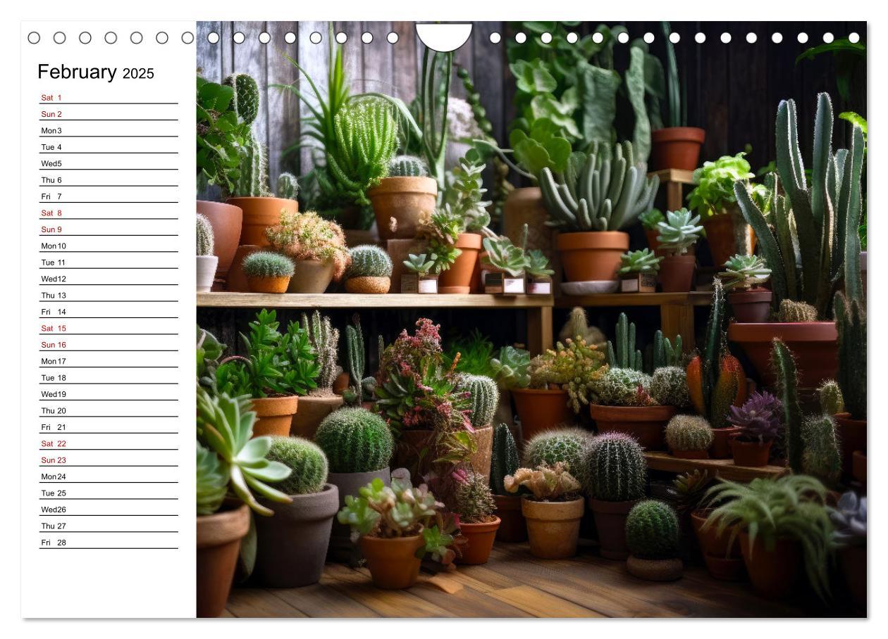 Bild: 9781325833092 | Cacti Wonderland (Wall Calendar 2025 DIN A4 landscape), CALVENDO 12...