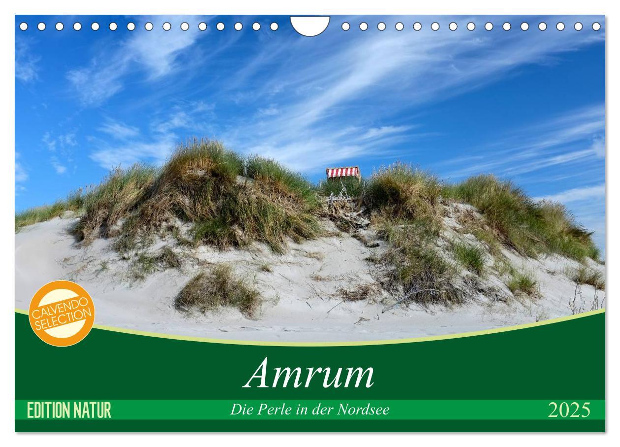 Cover: 9783435715633 | Amrum, die Perle in der Nordsee (Wandkalender 2025 DIN A4 quer),...