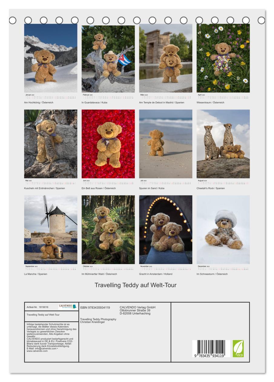 Bild: 9783435934119 | Travelling Teddy auf Welt-Tour (Tischkalender 2025 DIN A5 hoch),...