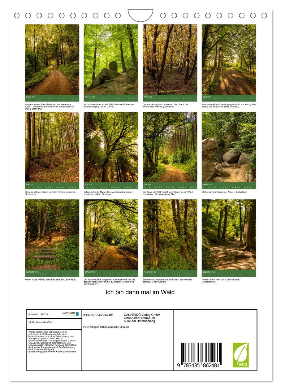 Bild: 9783435862481 | Ich bin dann mal im Wald (Wandkalender 2025 DIN A4 hoch), CALVENDO...