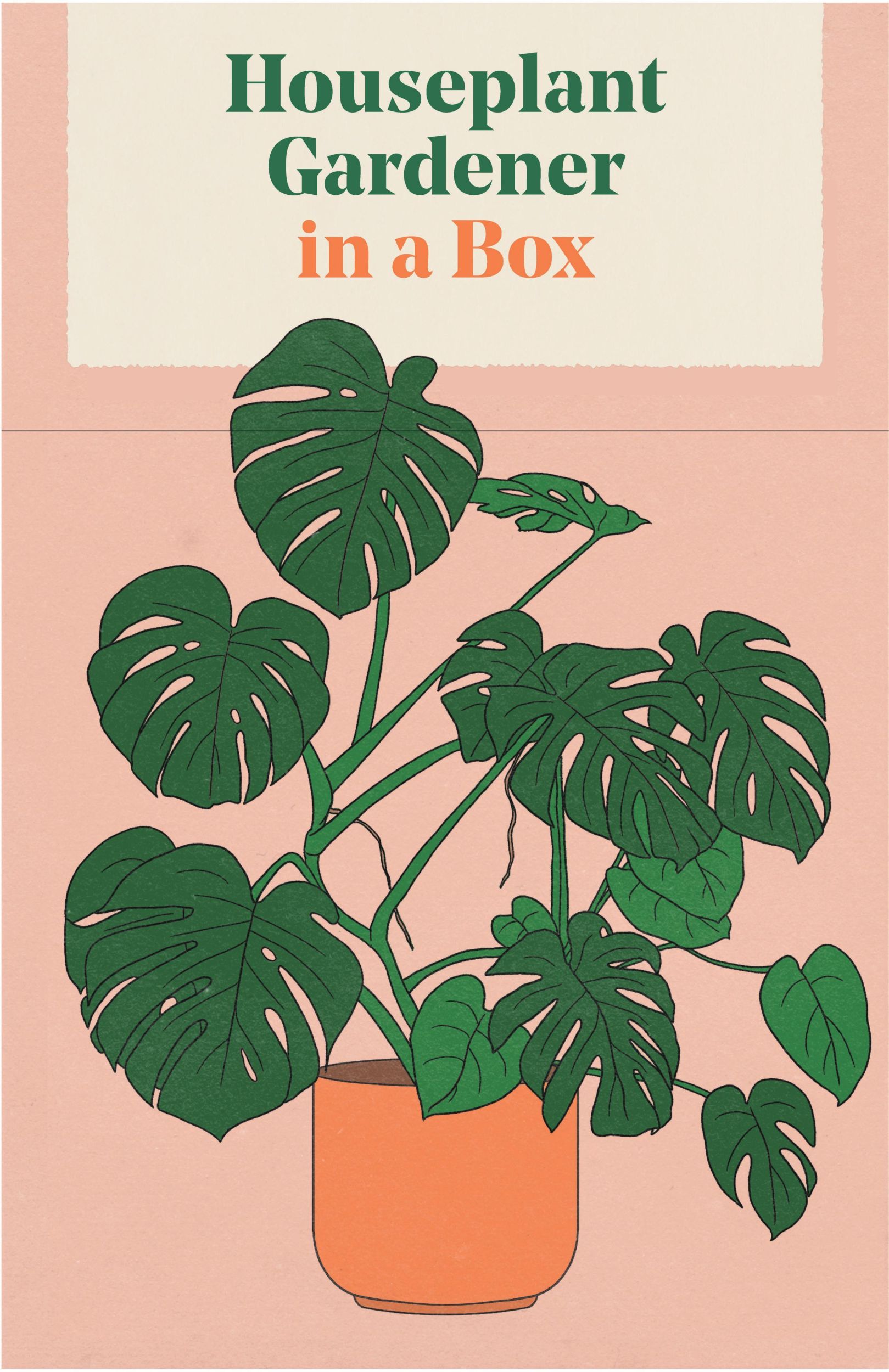 Cover: 9781837760169 | Houseplant Gardener in a Box | Jane Perrone | Box | Englisch | 2023