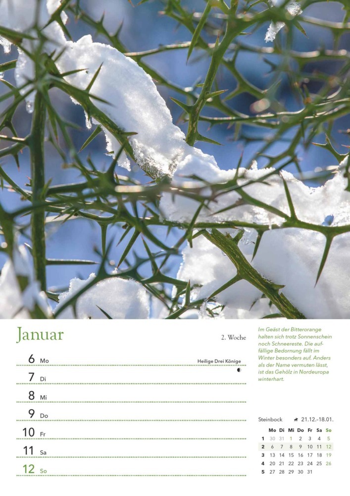 Bild: 4250809653501 | DUMONT - Ein Jahr in meinem Garten 2025 Wochenkalender, 21x29,7cm,...