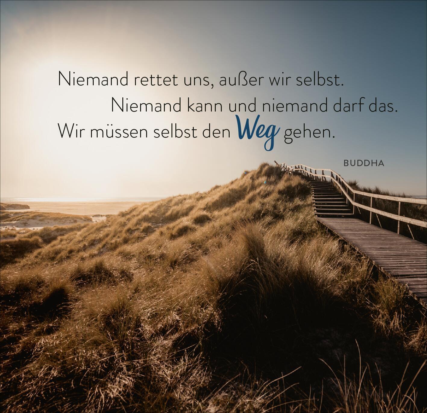 Bild: 9783845860114 | 365 spirituelle Weisheiten aus aller Welt | Taschenbuch | Aufsteller