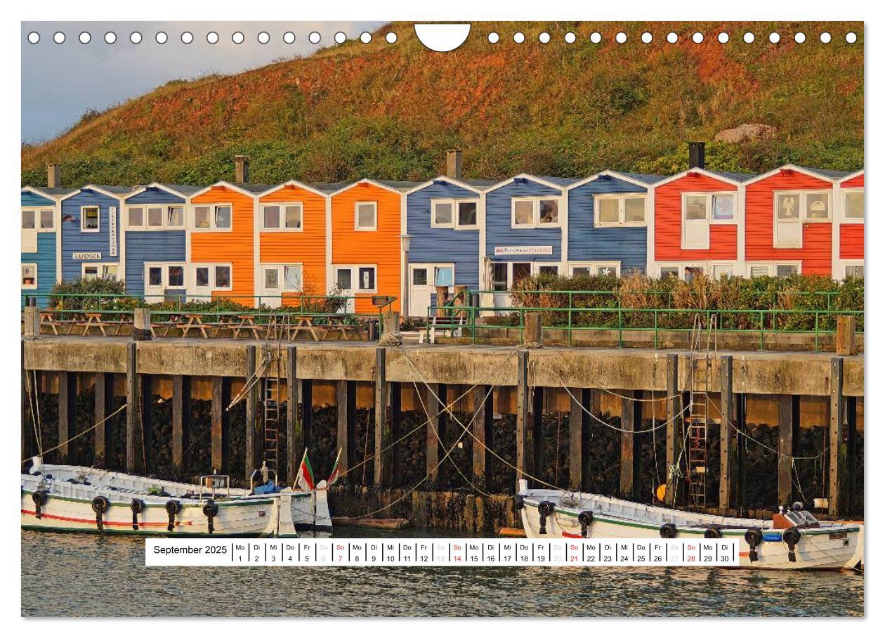 Bild: 9783435474165 | Hochsee-Insel Helgoland (Wandkalender 2025 DIN A4 quer), CALVENDO...