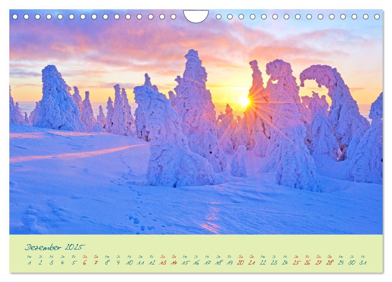 Bild: 9783435185733 | Harz Natur pur und Weltkulturerbe (Wandkalender 2025 DIN A4 quer),...