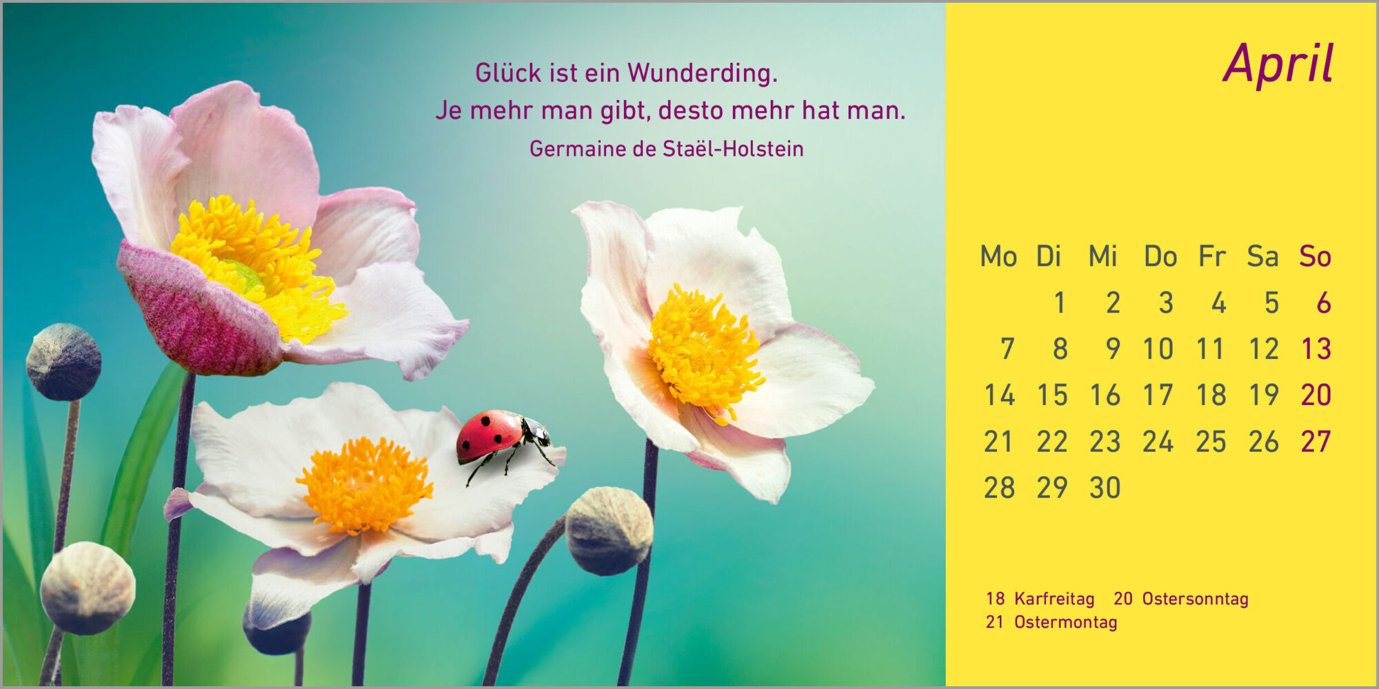 Bild: 9783579079080 | Foto-Weg-Geleit 2025 | Kalender | 13 S. | Deutsch | 2025