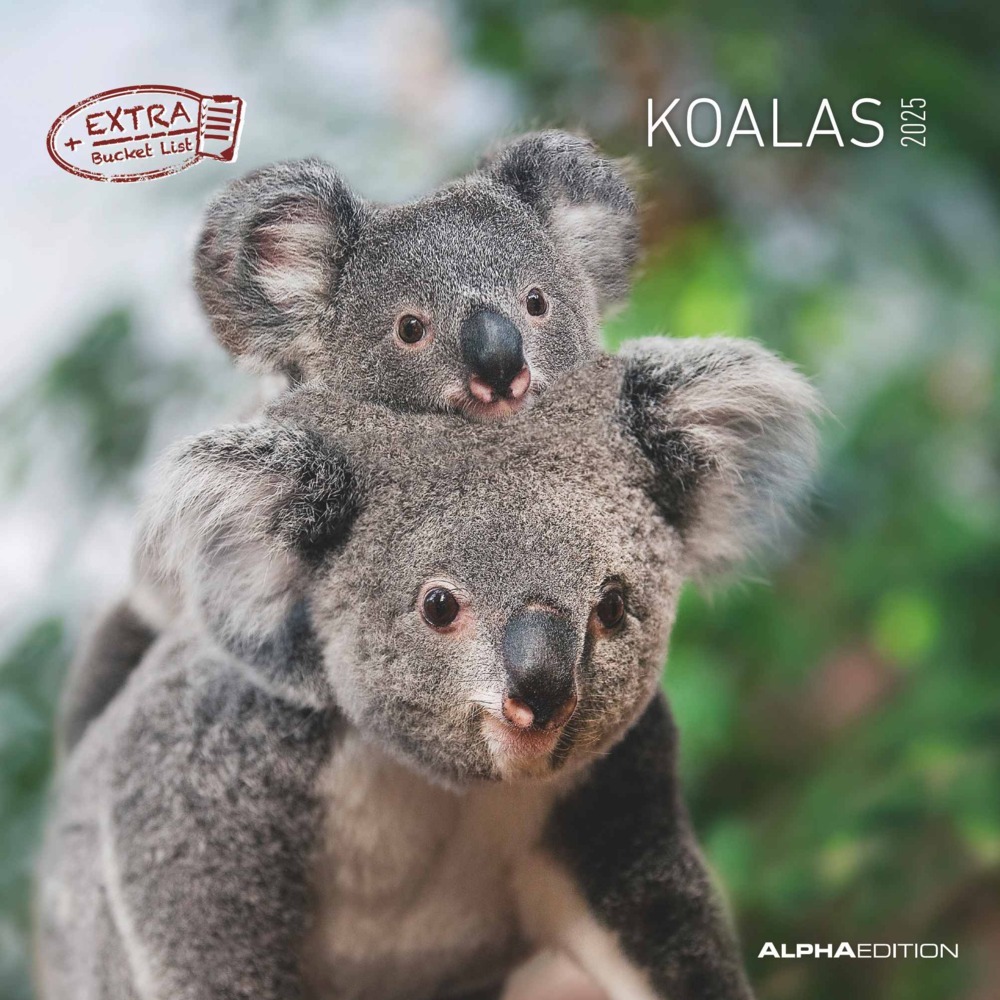 Cover: 4251732340759 | Alpha Edition - Koalas 2025 Broschürenkalender, 30x30cm,...