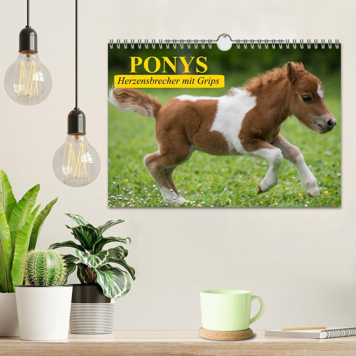 Bild: 9783435652198 | Ponys. Herzensbrecher mit Grips (Wandkalender 2025 DIN A4 quer),...