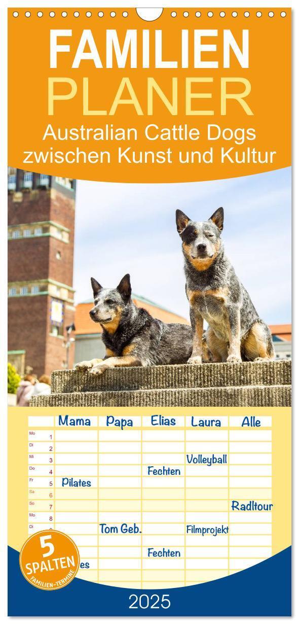 Cover: 9783457106488 | Familienplaner 2025 - Australian Cattle Dogs zwischen Kunst und...