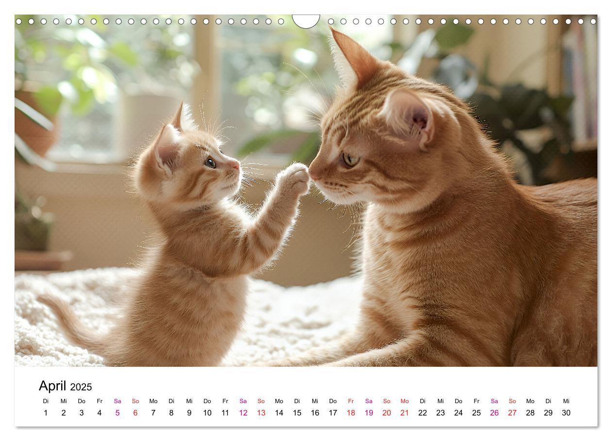 Bild: 9783457218280 | Katzenzauber - Samtpfoten im Jahreslauf (Wandkalender 2025 DIN A3...