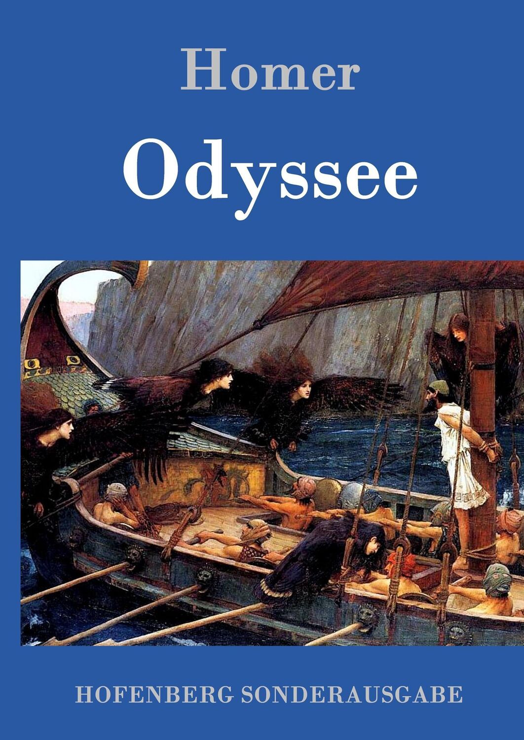 Cover: 9783843015585 | Odyssee | Homer | Buch | HC runder Rücken kaschiert | 332 S. | Deutsch