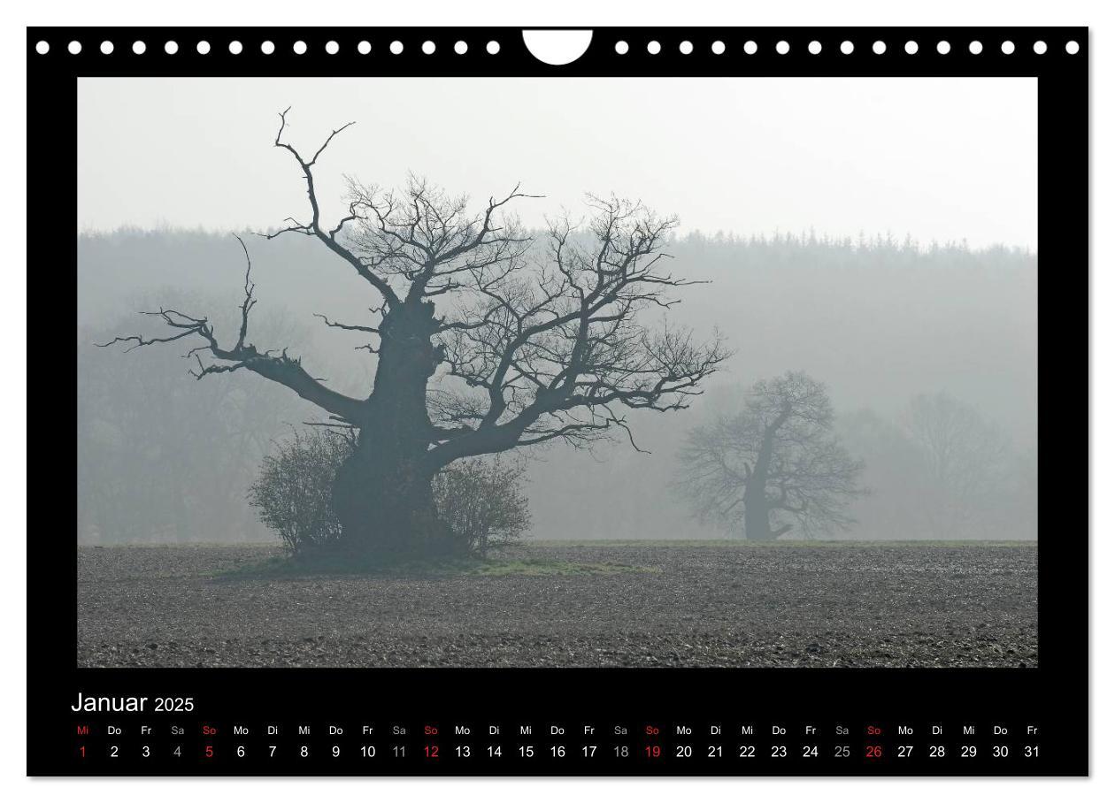 Bild: 9783435626861 | Märchenhafter Reinhardswald und Urwald Sababurg (Wandkalender 2025...