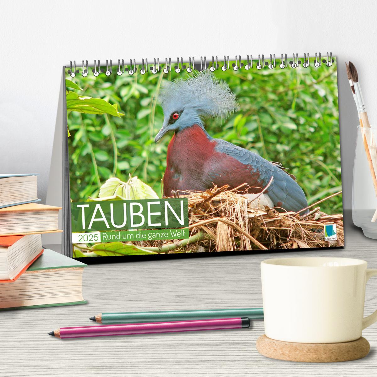 Bild: 9783383778247 | Tauben rund um die ganze Welt (Tischkalender 2025 DIN A5 quer),...