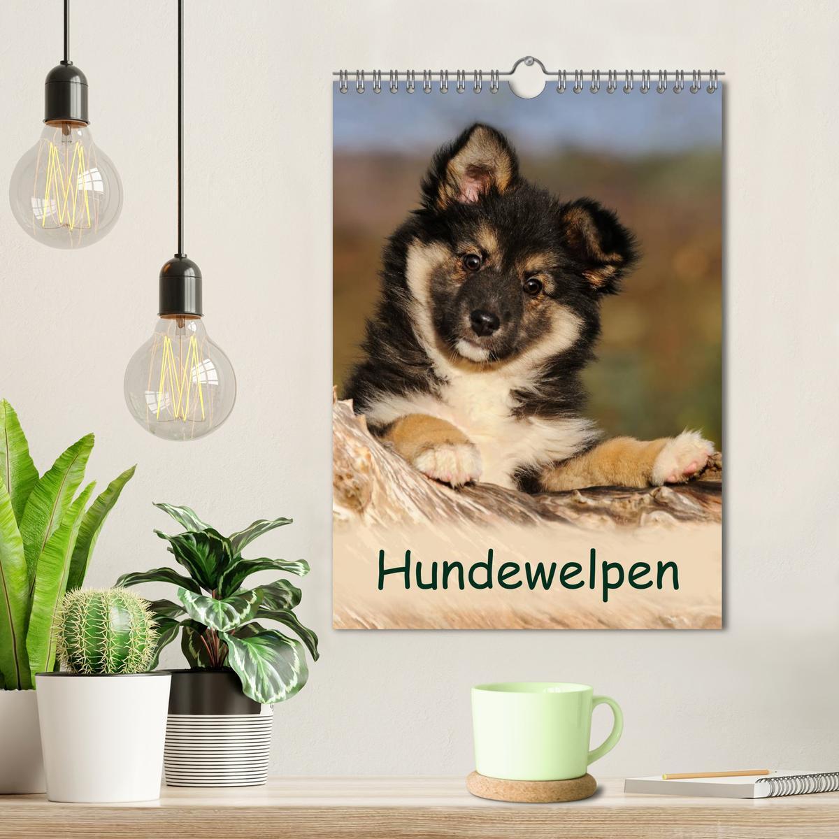 Bild: 9783457076866 | Hundewelpen (Wandkalender 2025 DIN A4 hoch), CALVENDO Monatskalender