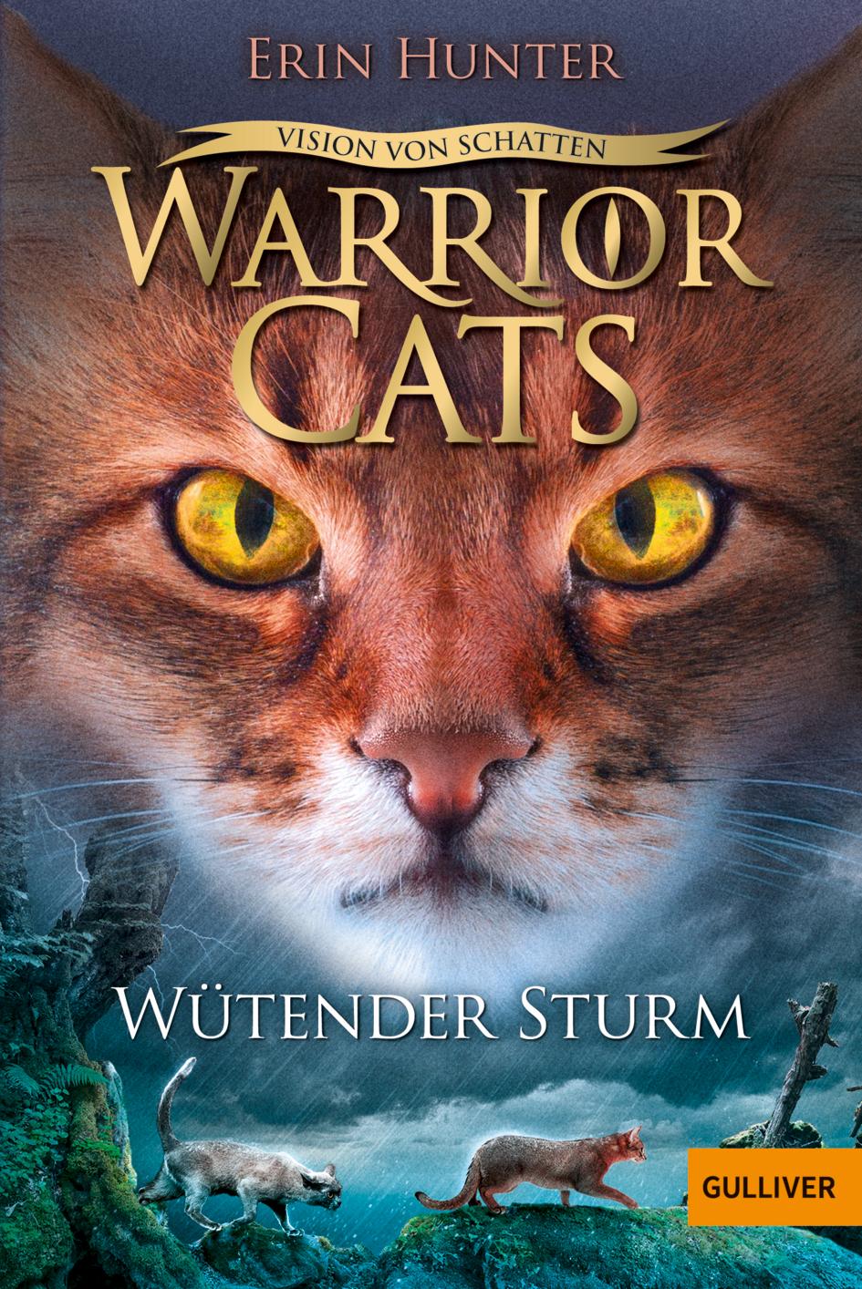 Cover: 9783407812667 | Warrior Cats - Vision von Schatten. Wütender Sturm | Erin Hunter