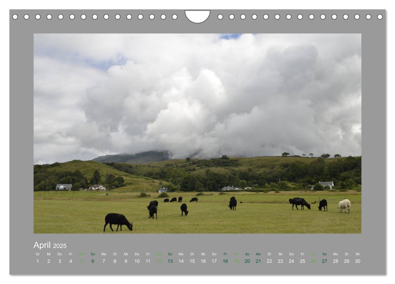 Bild: 9783435251759 | Argyll (Wandkalender 2025 DIN A4 quer), CALVENDO Monatskalender | 2025