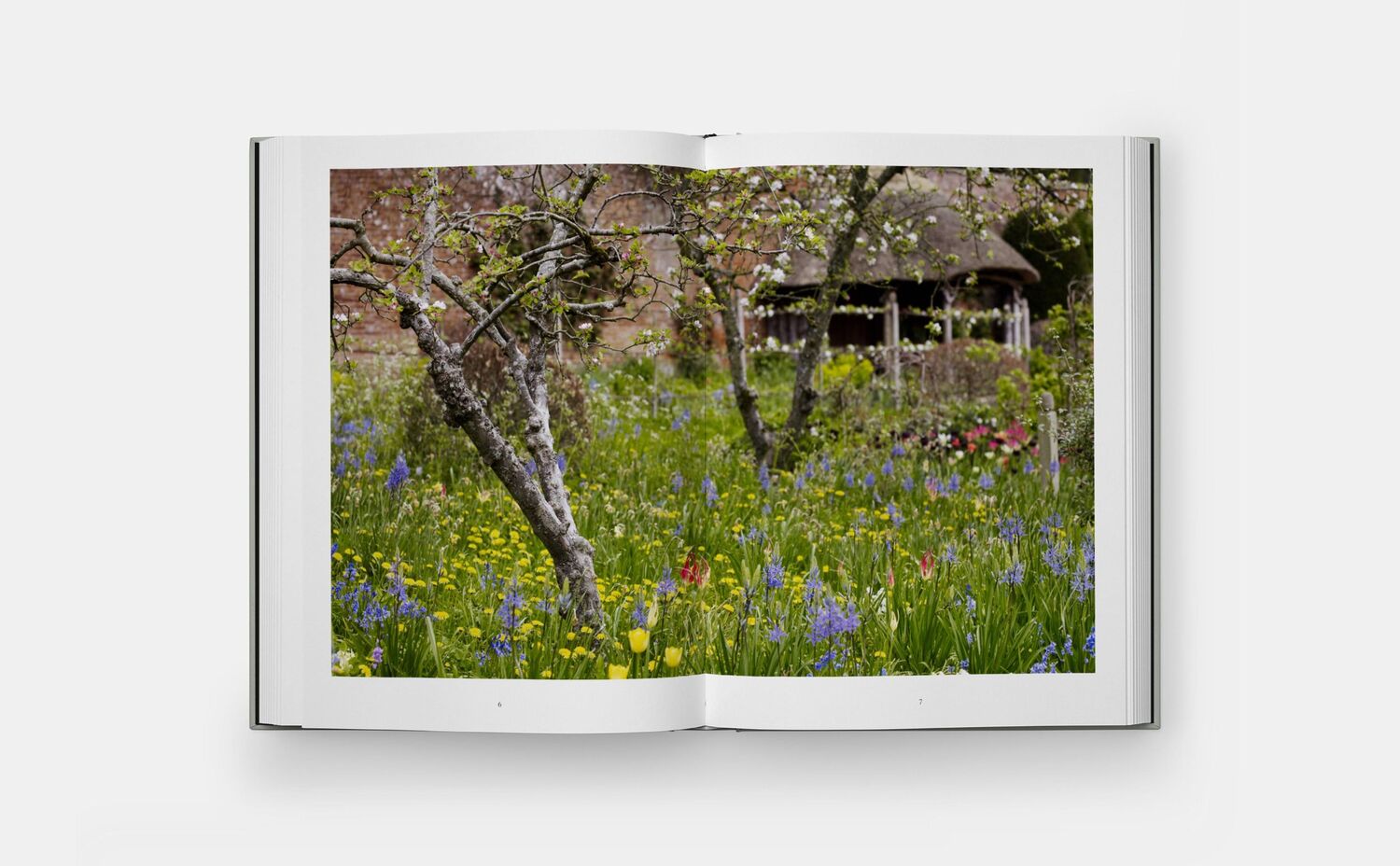 Bild: 9781838667689 | The Tulip Garden | Polly Nicholson (u. a.) | Buch | Phaidon Press