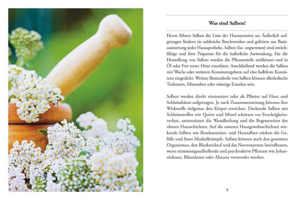 Bild: 9783710401770 | Das große kleine Buch: Heilsalben aus Wald und Wiese | Gabriela Nedoma