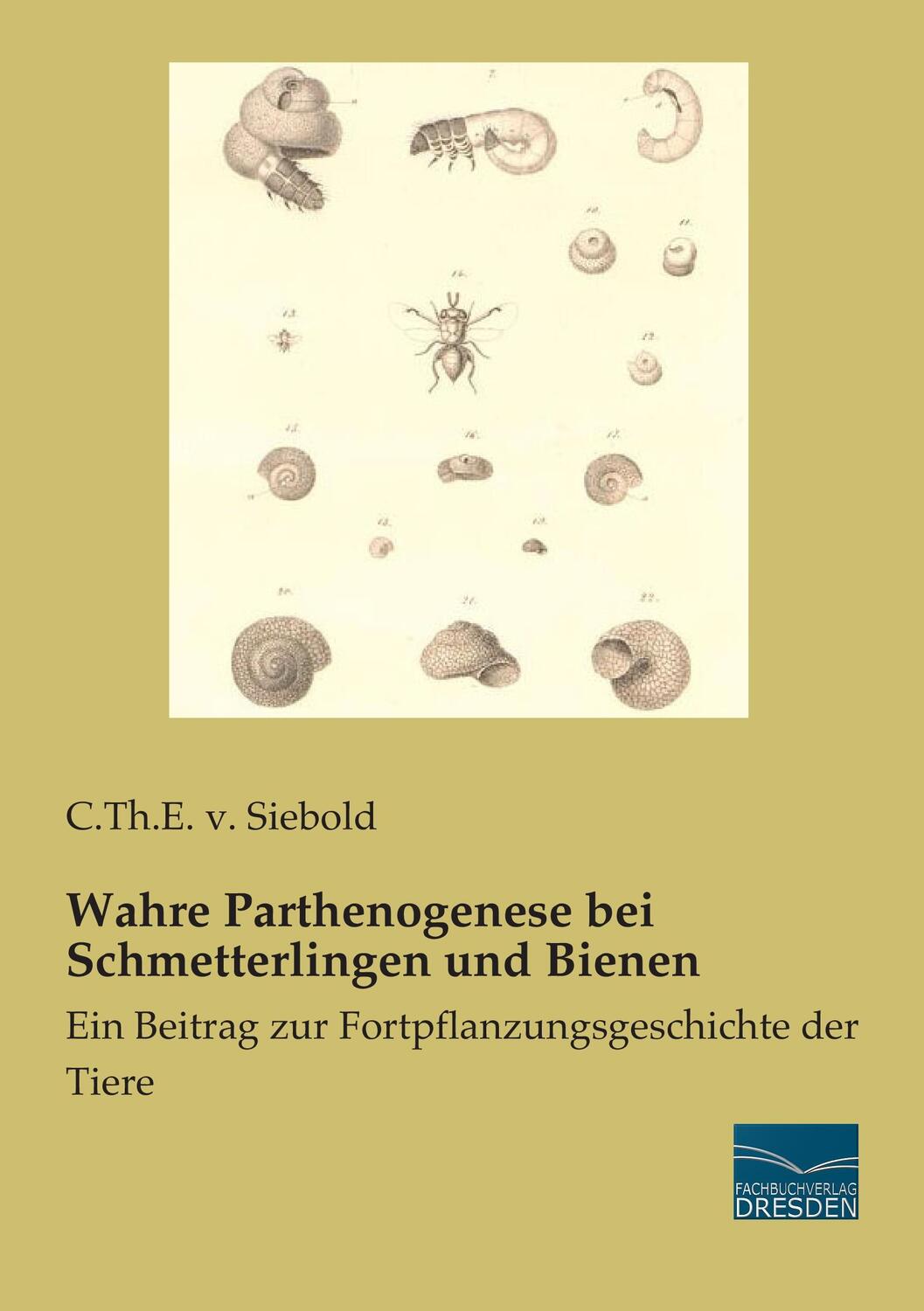 Cover: 9783956927652 | Wahre Parthenogenese bei Schmetterlingen und Bienen | Siebold | Buch