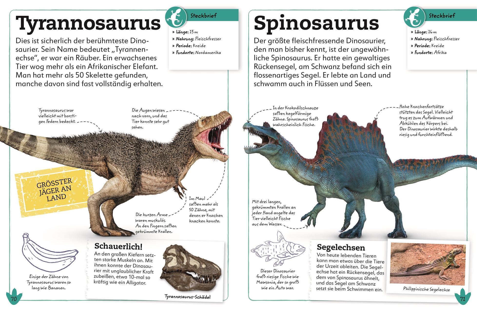 Bild: 9783831042142 | Dinosaurier | Dean Lomax | Buch | 96 S. | Deutsch | 2021