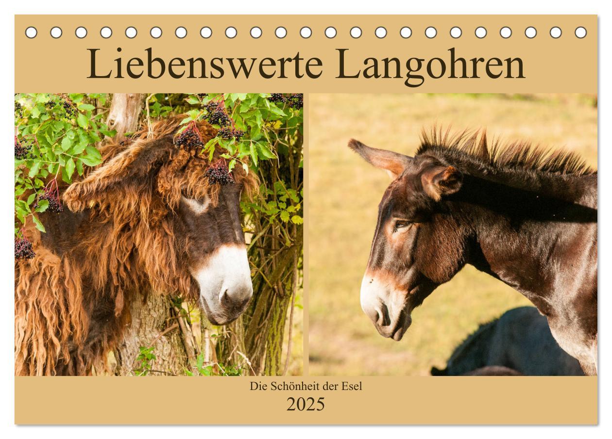 Cover: 9783435268870 | Liebenswerte Langohren - Die Schönheit der Esel (Tischkalender 2025...