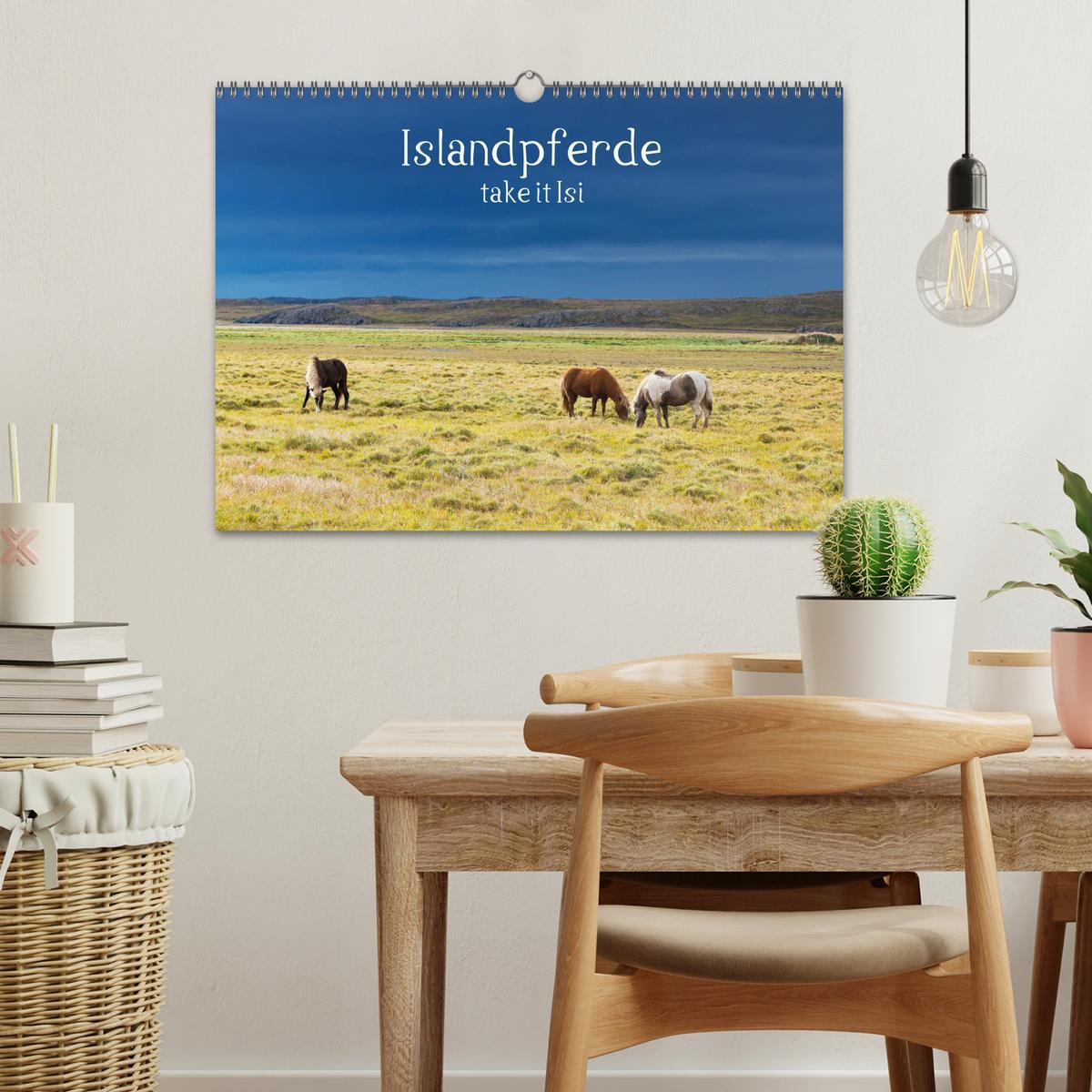 Bild: 9783435272471 | Islandpferde take it Isi (Wandkalender 2025 DIN A3 quer), CALVENDO...