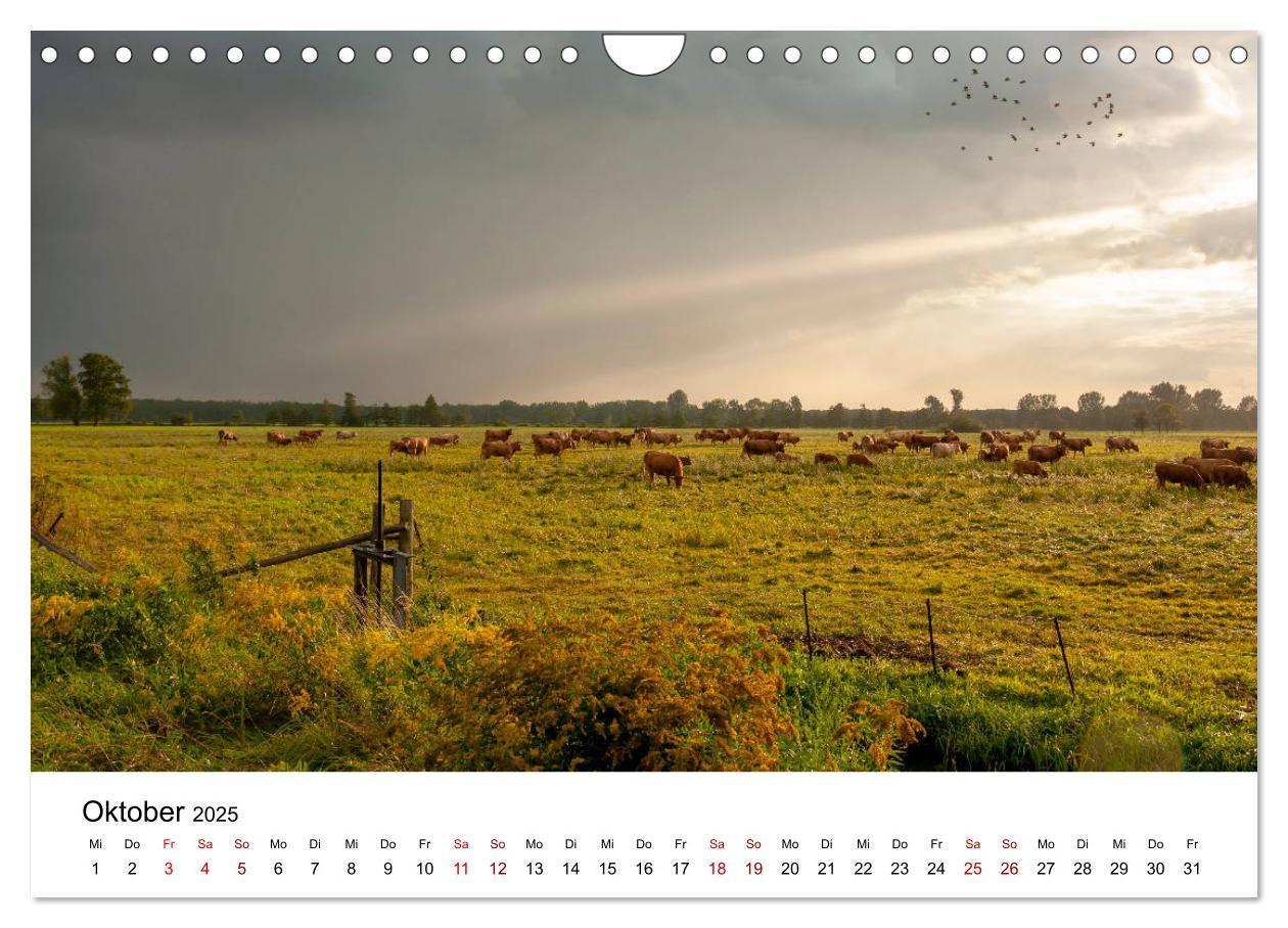 Bild: 9783435201105 | Unterwegs im Spreewald (Wandkalender 2025 DIN A4 quer), CALVENDO...