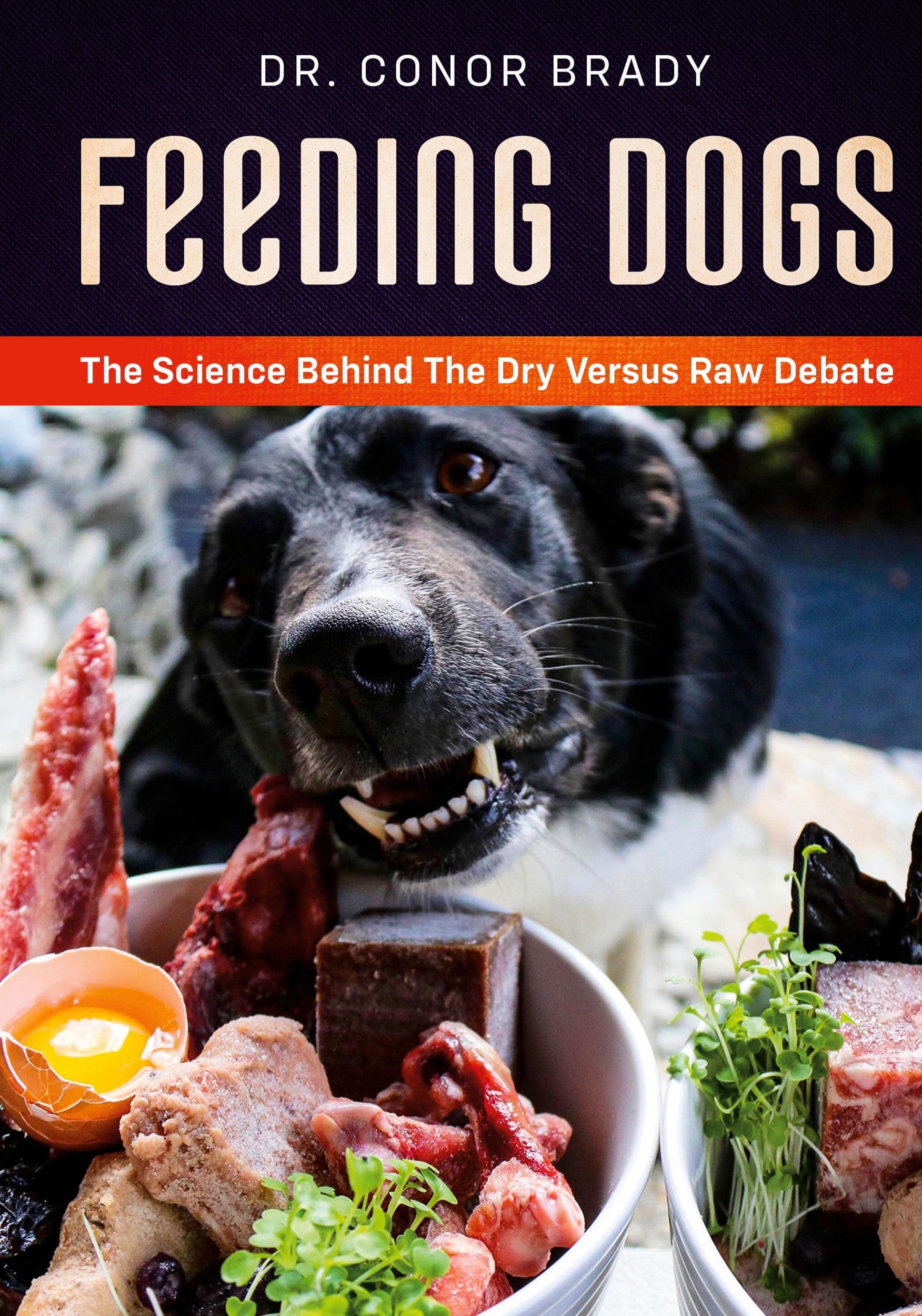 Cover: 9781916234017 | Feeding Dogs Dry Or Raw? The Science Behind The Debate | Conor Brady