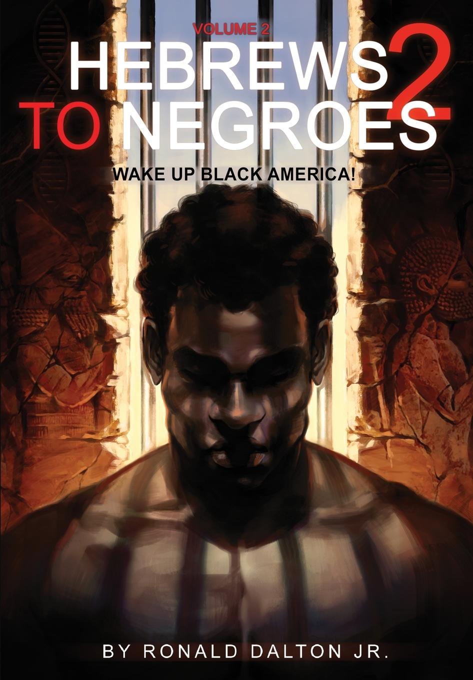 Cover: 9780997157918 | Hebrews to Negroes 2 | Volume 2 Wake Up Black America | Jr. | Buch