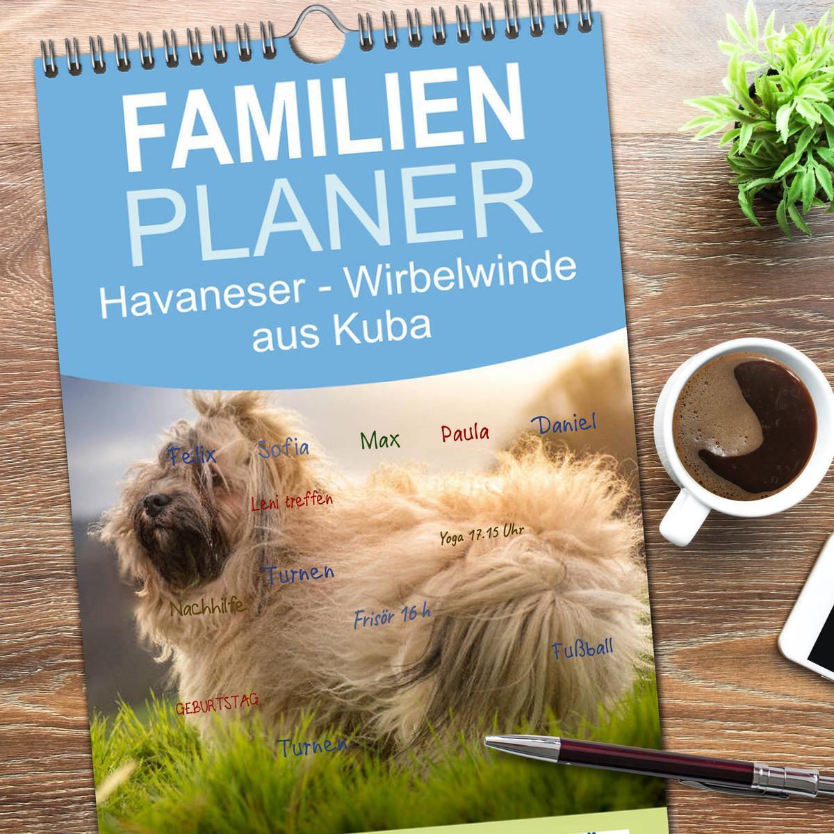 Bild: 9783457108307 | Familienplaner 2025 - Havaneser - Wirbelwinde aus Kuba mit 5...