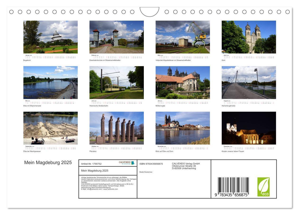 Bild: 9783435656875 | Mein Magdeburg 2025 (Wandkalender 2025 DIN A4 quer), CALVENDO...