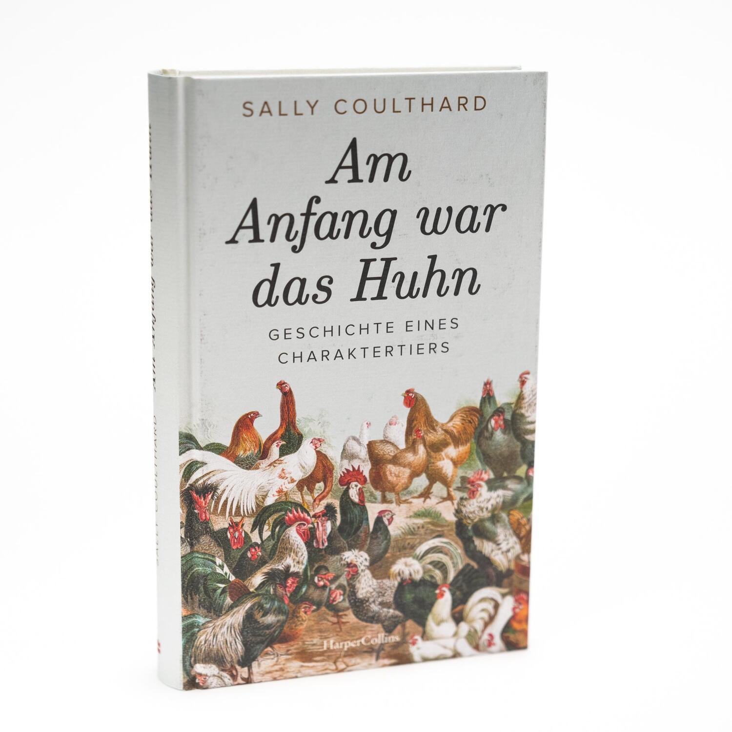 Bild: 9783365004869 | Am Anfang war das Huhn. Geschichte eines Charaktertiers | Coulthard