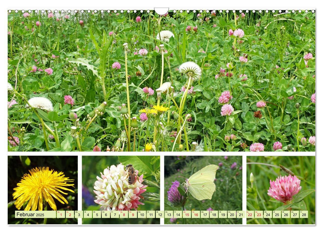 Bild: 9783435221509 | Blütenmeer am Wegesrand (Wandkalender 2025 DIN A3 quer), CALVENDO...