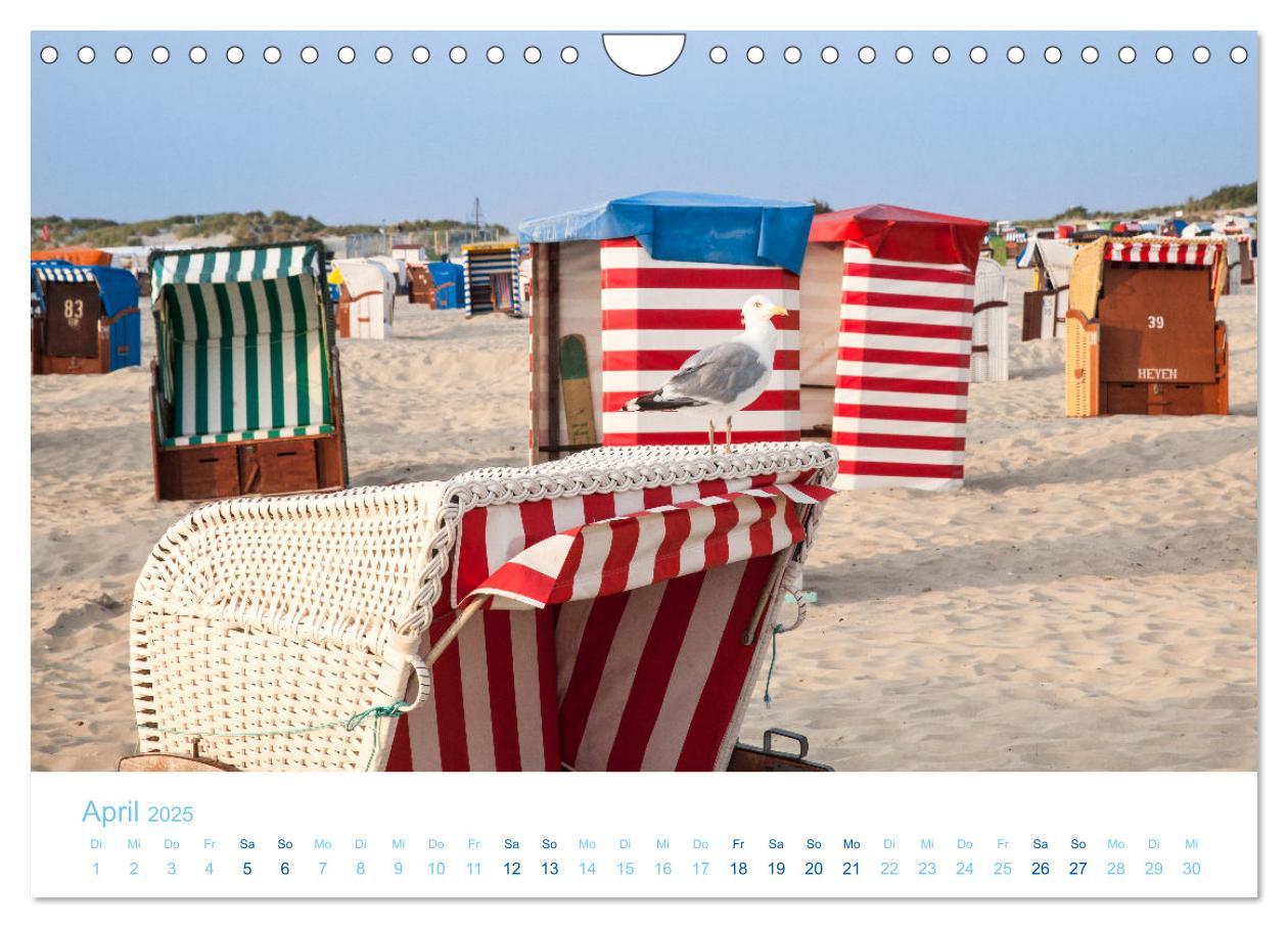 Bild: 9783435074525 | Moin Borkum (Wandkalender 2025 DIN A4 quer), CALVENDO Monatskalender