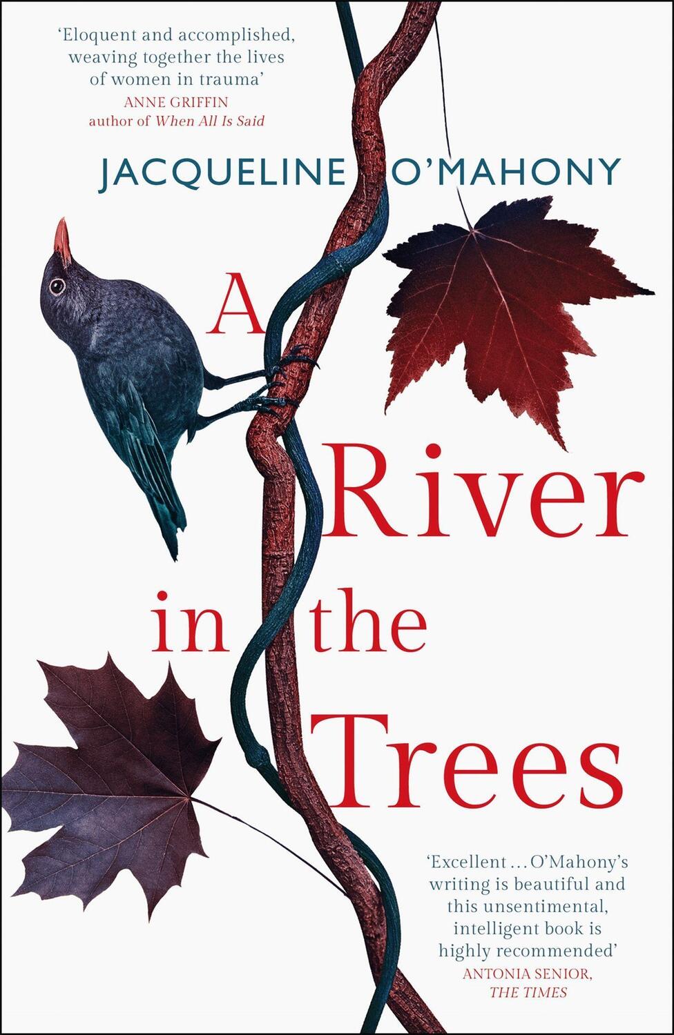 Cover: 9781787473553 | A River in the Trees | Jacqueline O'Mahony | Taschenbuch | Englisch